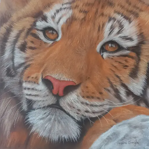 Tigre sur son rocher 