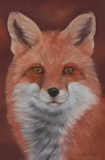Le renard 